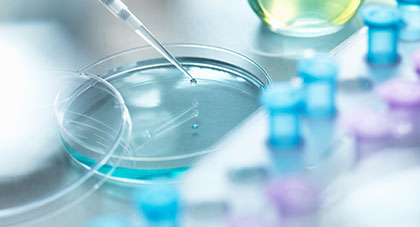 An eye dropper with liquid being placed into a petri dish.