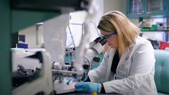 A female clinician examines cells in a petrie dish under a microscope.