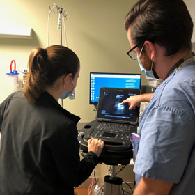 A mentor pointing out an image on a screen to a resident.