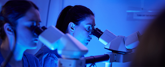A medical professional in a lab coat and a medical professional in scrubs walk side by side.