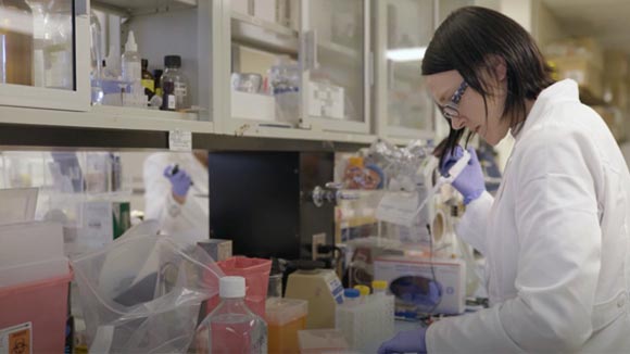 Medical researcher working in a lab